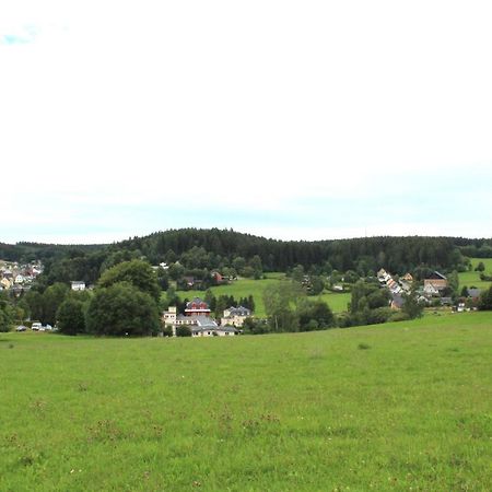 Ferienwohnung Greifenbach, Gartennutzung, Haustiere Willkommen Geyer Dış mekan fotoğraf