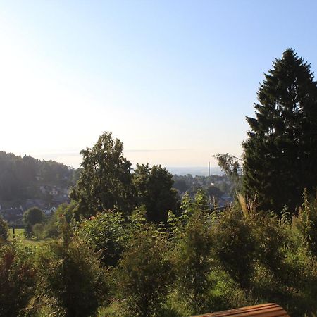 Ferienwohnung Greifenbach, Gartennutzung, Haustiere Willkommen Geyer Dış mekan fotoğraf