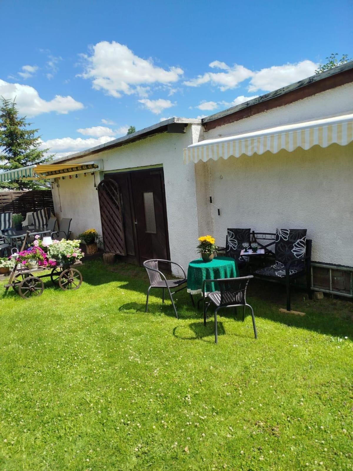 Ferienwohnung Greifenbach, Gartennutzung, Haustiere Willkommen Geyer Dış mekan fotoğraf