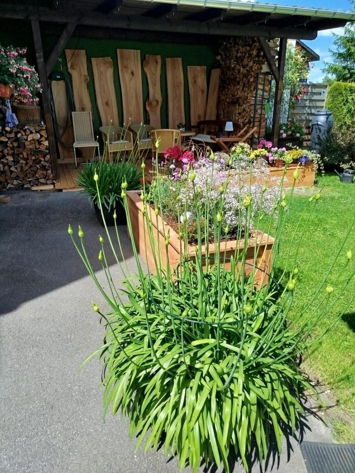 Ferienwohnung Greifenbach, Gartennutzung, Haustiere Willkommen Geyer Dış mekan fotoğraf